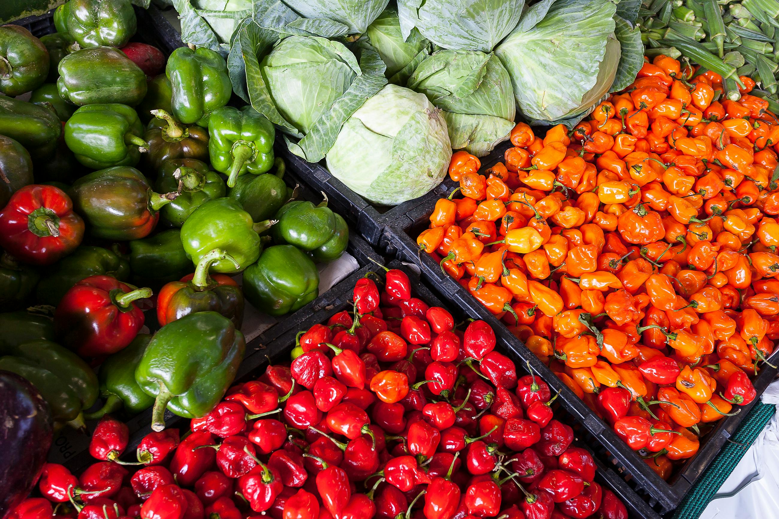 Bona Markets vendor showcase 2